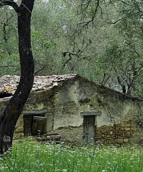 Old stone house with a weathered roof, partially covered by grass and trees. - Olive Oil Times