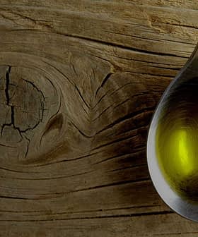 Metal spoon filled with olive oil resting on a textured wooden surface. - Olive Oil Times