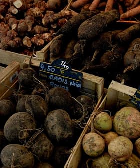 Selection of root vegetables including black radishes, turnips, and carrots in wooden crates at a market. - Olive Oil Times
