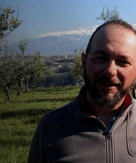 Man standing in an olive grove with olive trees in the background and mountains visible in the distance. - Olive Oil Times