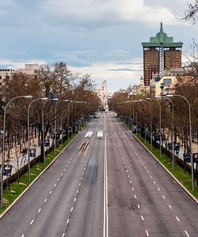Wide view of an empty city street lined with bare trees and streetlights on either side. - Olive Oil Times