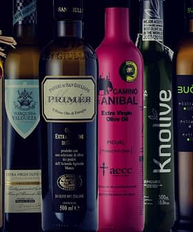 A collection of olive oil bottles with different labels and designs arranged in a row. - Olive Oil Times