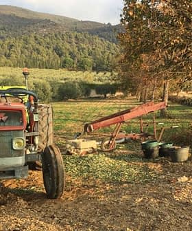 Blue agricultural tractor parked on a dirt path in a field with trees in the background. - Olive Oil Times