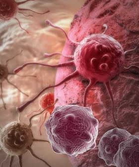 Microscopic image showing cancer cells interacting with healthy cells in a biological setting. - Olive Oil Times