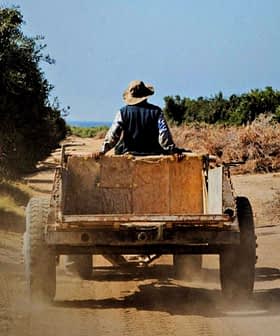 A farmer wearing a hat driving a wooden cart along a dirt path surrounded by vegetation. - Olive Oil Times