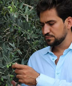 Man examining an olive tree branch with green olives in a natural setting. - Olive Oil Times