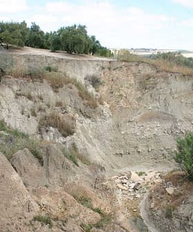 Eroded landscape featuring rocky terrain and sparse vegetation in a dry area. - Olive Oil Times