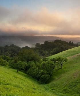 Lush green hills featuring trees under a cloudy sunset sky with mist in the background. - Olive Oil Times
