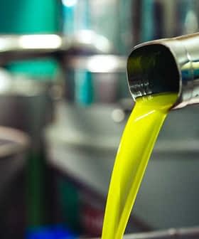 Stream of bright yellow olive oil pouring from a metal spout into a container. - Olive Oil Times