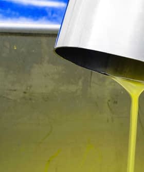 Stream of fresh olive oil pouring from a metal spout into a container during production. - Olive Oil Times