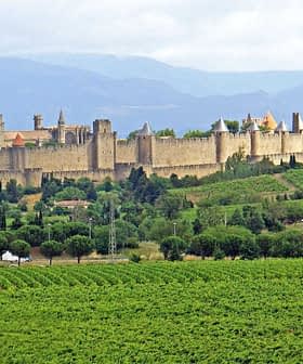 View of the medieval fortress of Carcassonne surrounded by greenery in France. - Olive Oil Times
