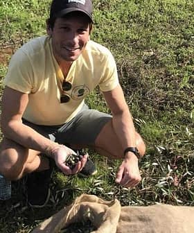 Man kneeling on grass holding olives while sitting next to a burlap sack. - Olive Oil Times