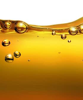 Close-up image of olive oil with bubbles suspended in the liquid. - Olive Oil Times