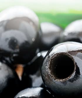 Close-up view of shiny black olives with visible holes and smooth surfaces. - Olive Oil Times
