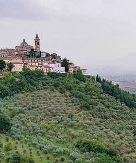 A hilltop village with buildings and a church tower, surrounded by olive trees and rolling hills. - Olive Oil Times