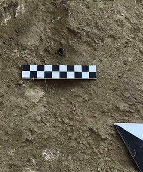 Checkerboard scale and measuring tool placed on the ground in a dirt area. - Olive Oil Times