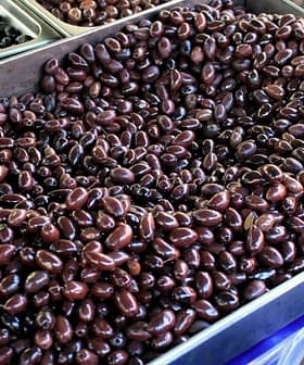 A large tray filled with dark black olives, showcasing their smooth surface and oval shape. - Olive Oil Times