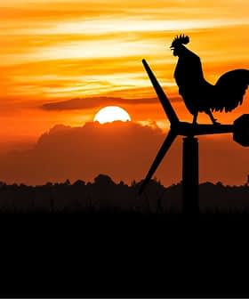 Silhouette of a rooster standing on a wind turbine with a sunset in the background. - Olive Oil Times