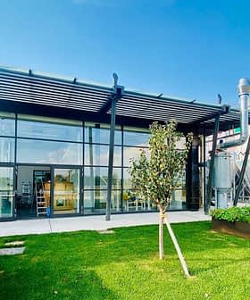 Exterior view of a modern olive oil production facility with glass walls and metal structures. - Olive Oil Times