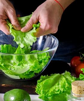 Person tearing fresh green lettuce leaves into a glass bowl for salad preparation. - Olive Oil Times