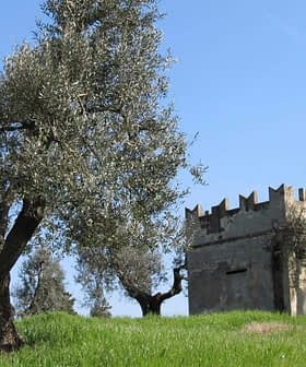 Stone structure surrounded by olive trees on a grassy hill under a clear blue sky. - Olive Oil Times