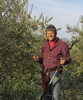 Man wearing a checkered shirt holding an olive harvesting tool in an olive grove. - Olive Oil Times