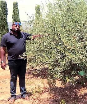 A man in a black shirt standing beside an olive tree in a garden setting. - Olive Oil Times