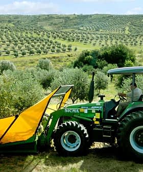 Green tractor equipped with olive harvesting equipment in an olive grove. - Olive Oil Times