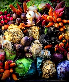 A collection of various fresh vegetables including carrots, radishes, and turnips arranged together. - Olive Oil Times