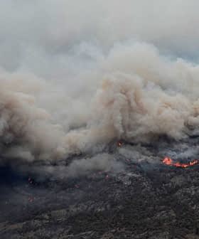 Thick smoke billowing from a wildfire with visible flames in a mountainous region. - Olive Oil Times