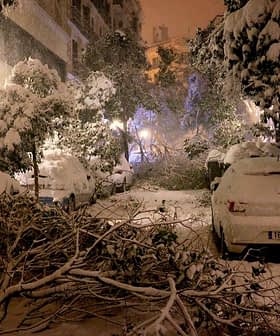 A street covered in snow with fallen branches and parked cars partially obscured by snow. - Olive Oil Times