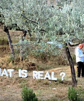 Art installation with the phrase 'WHAT IS REAL?' displayed in an olive grove setting. - Olive Oil Times