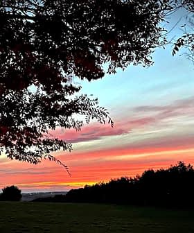 Colorful sunset with pink and orange hues visible through tree branches in a landscape. - Olive Oil Times