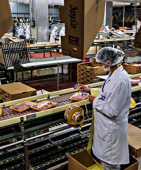 Workers in white coats and hairnets processing meat products on a conveyor belt in a facility. - Olive Oil Times