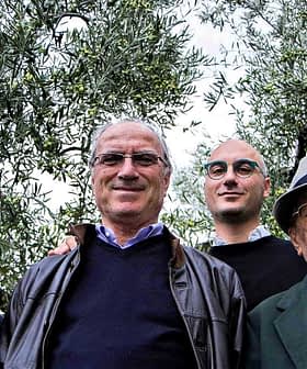 Four men standing together outdoors among olive trees, all looking at the camera. - Olive Oil Times