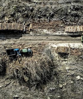 Aerial view of a logging operation showing trucks and stacked logs along a dirt road. - Olive Oil Times