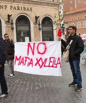 Demonstrators holding banners that read 'NO MAFIA XYELLA' during a protest in Puglia. - Olive Oil Times