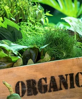 Wooden crate labeled 'Organic Farm' filled with various fresh greens and herbs. - Olive Oil Times