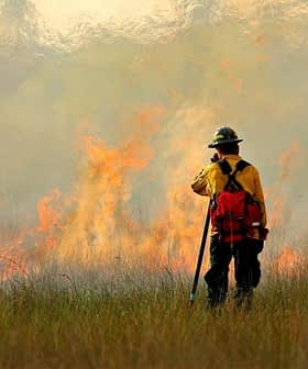 Firefighter in protective gear observing a wildfire with flames and smoke in the background. - Olive Oil Times