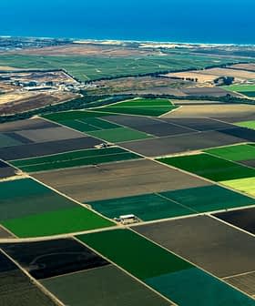 Aerial view of agricultural fields with various shades of green and brown, bordered by a coastline and ocean. - Olive Oil Times