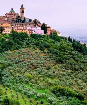 A hilltop village with colorful buildings surrounded by olive trees and rolling hills. - Olive Oil Times