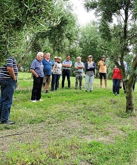 A group of individuals gathered around olive trees in a grove, engaged in discussion. - Olive Oil Times