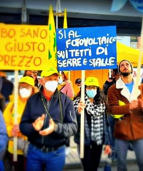 Group of protesters wearing yellow hats and holding signs at a public demonstration. - Olive Oil Times