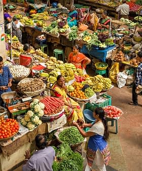 A vibrant market scene filled with various fresh fruits and vegetables on display at stalls. - Olive Oil Times
