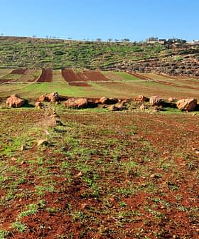 View of agricultural fields with brown soil and green grass, featuring rocky terrain in the foreground. - Olive Oil Times