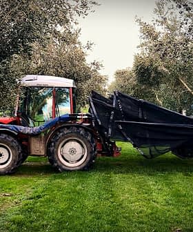 Tractor equipped with olive harvesting equipment parked among olive trees. - Olive Oil Times