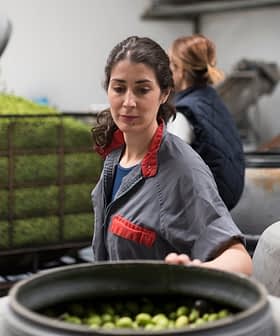 Woman sorting olives in a production facility with large containers in the background. - Olive Oil Times