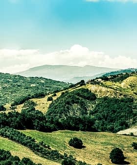 Lush green hills with patches of trees and distant mountains under a clear sky. - Olive Oil Times