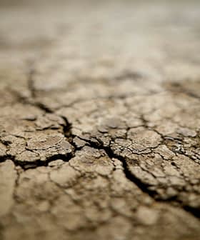 Close-up view of cracked dry soil surface with visible texture and patterns. - Olive Oil Times