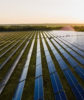 Aerial view of solar panels arranged in rows in a field during sunset. - Olive Oil Times